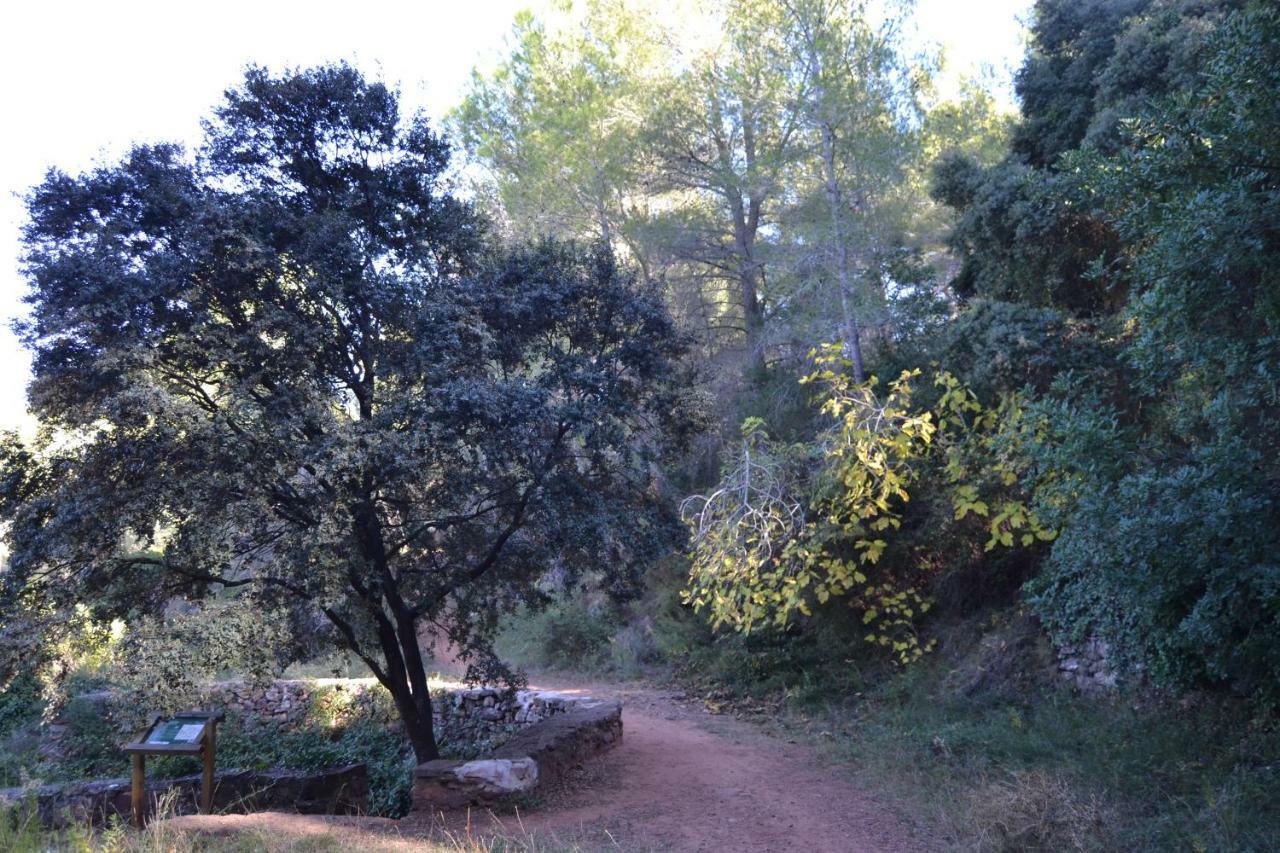 ヴィヤファメスLa Coveta Ruralアパートメント エクステリア 写真
