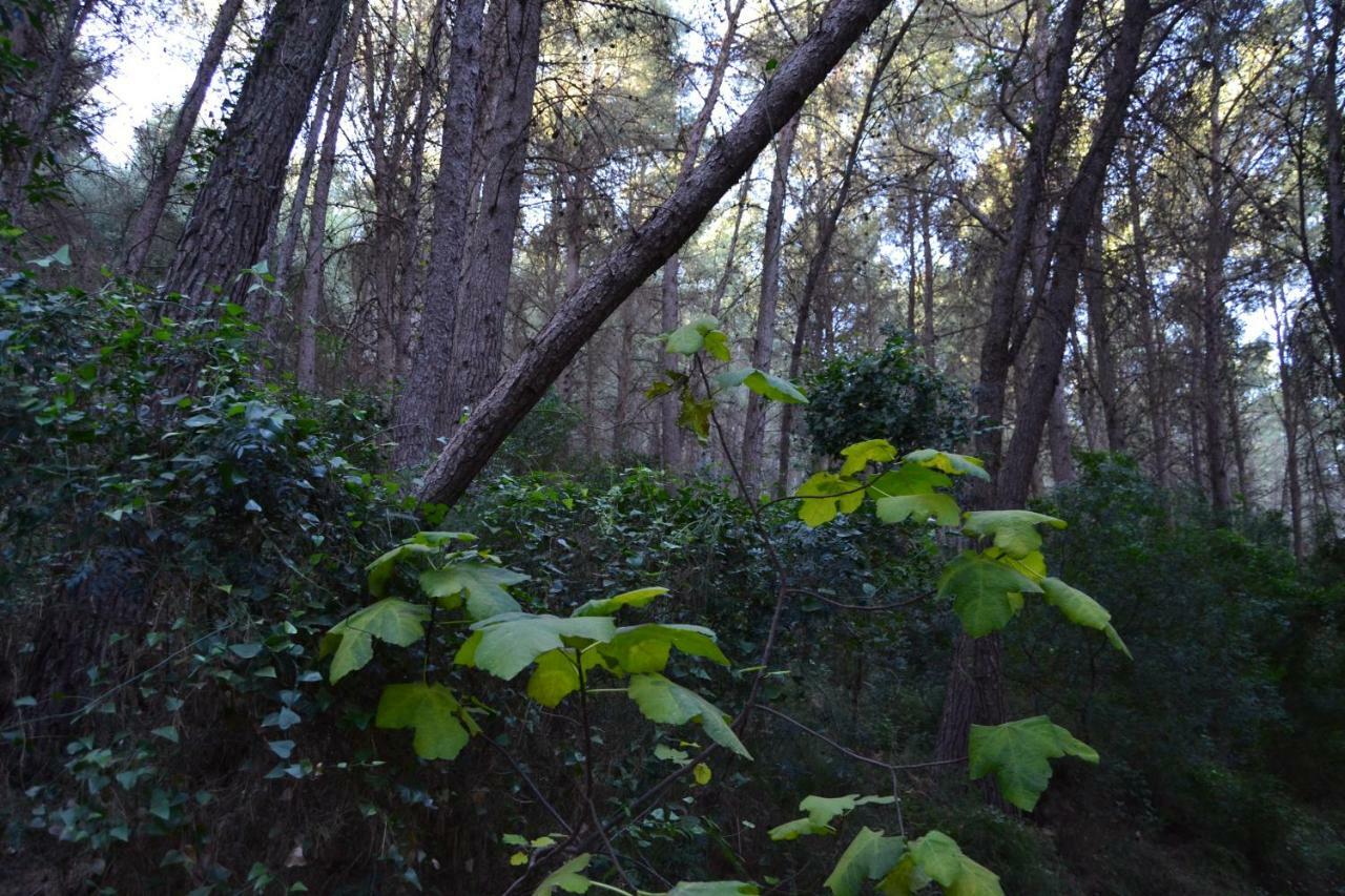 ヴィヤファメスLa Coveta Ruralアパートメント エクステリア 写真